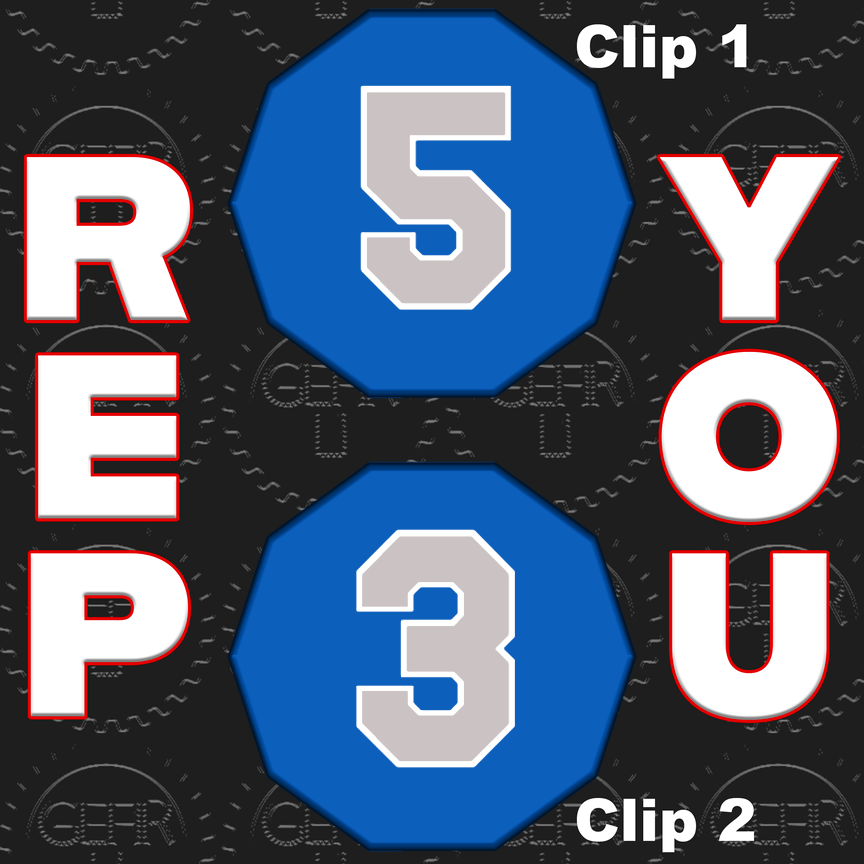 Chrome and Chrome Gold Custom Visor Clips