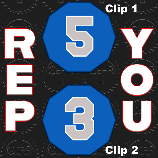 Chrome and Chrome Gold Custom Visor Clips